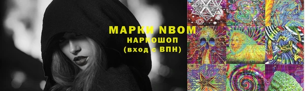 первитин Богданович