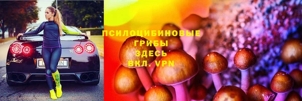 PSILOCYBIN Бугульма